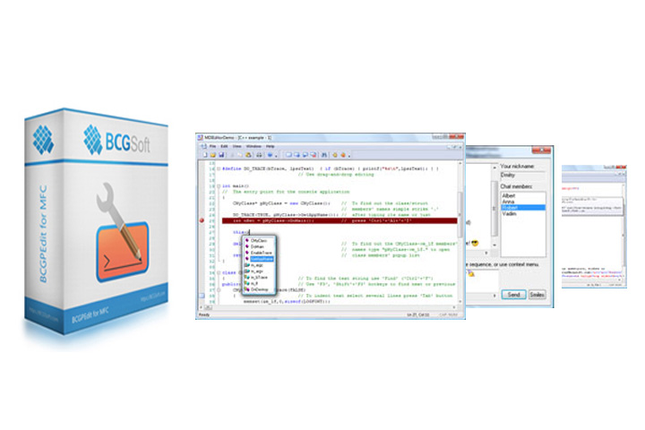 BCGSoft Professional Editor