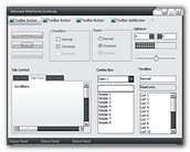 VisualStyler.Net Example Visual Style