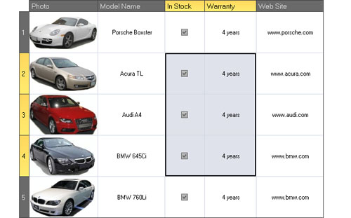 WinForms Data Grid - Cell Images