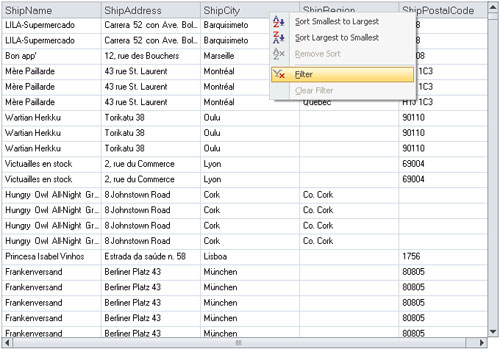 WinForms Grid - Filtering Context Menu