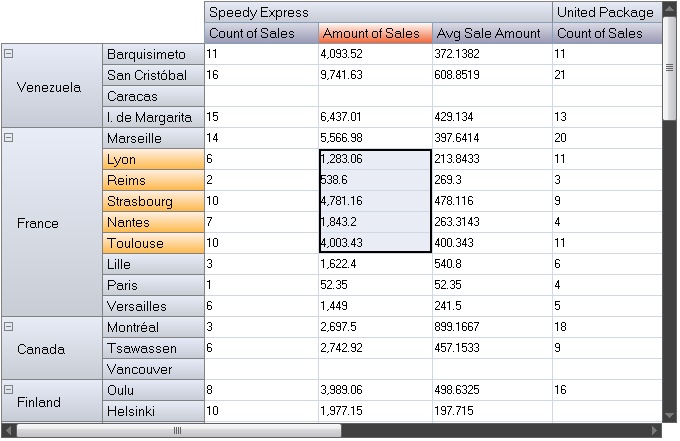 WinForms Hierarchical DataGrid - Pivot Table with Office 2007 Black Theme.