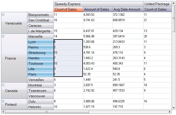 WinForms Hierarchical DataGrid - Pivot Table with Vista Blue Theme.