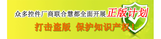 国务院开展打击侵犯知识产权专项行动 