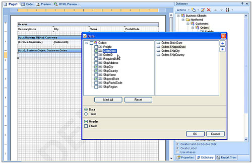 Stimulsoft reporting，Business Objects，智能报表，报表设计器，商业对象，实体模型