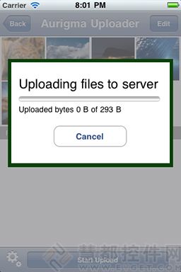 image uploader,Aurigma,iPhone,iPad,上传产品 
